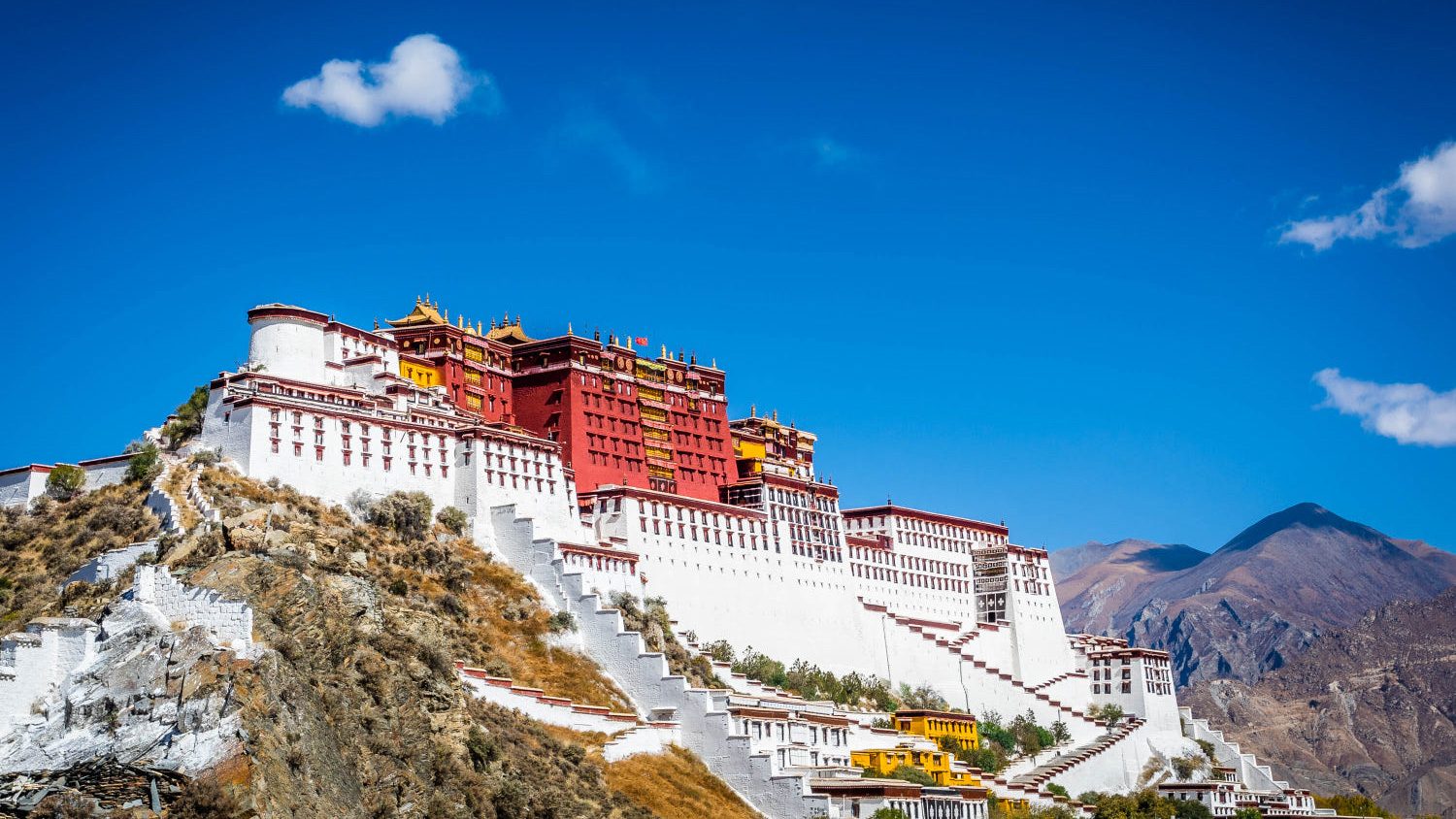 Leh Palace